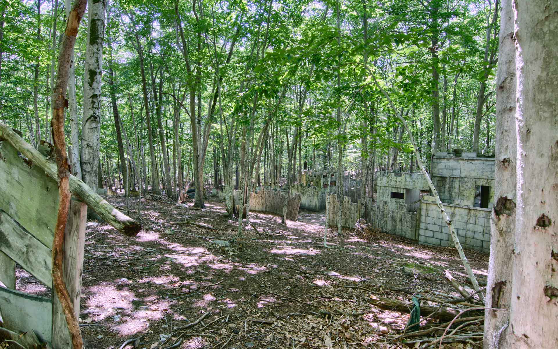 Paintball field with wooden structures and trees.