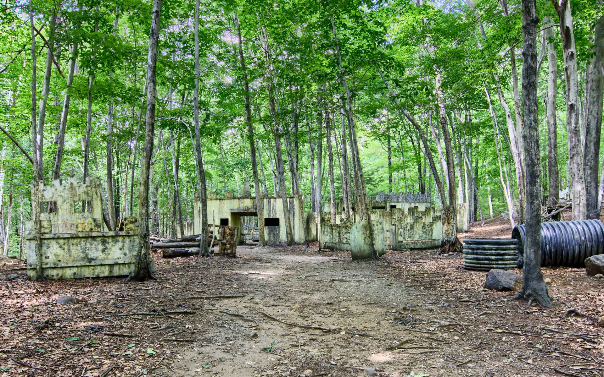 Paintball field in a wooded area with bunkers and foliage.