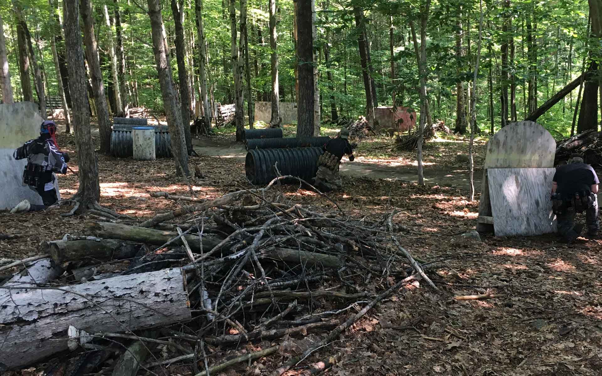 Paintball players in a wooded area, hiding behind bunkers and trees.