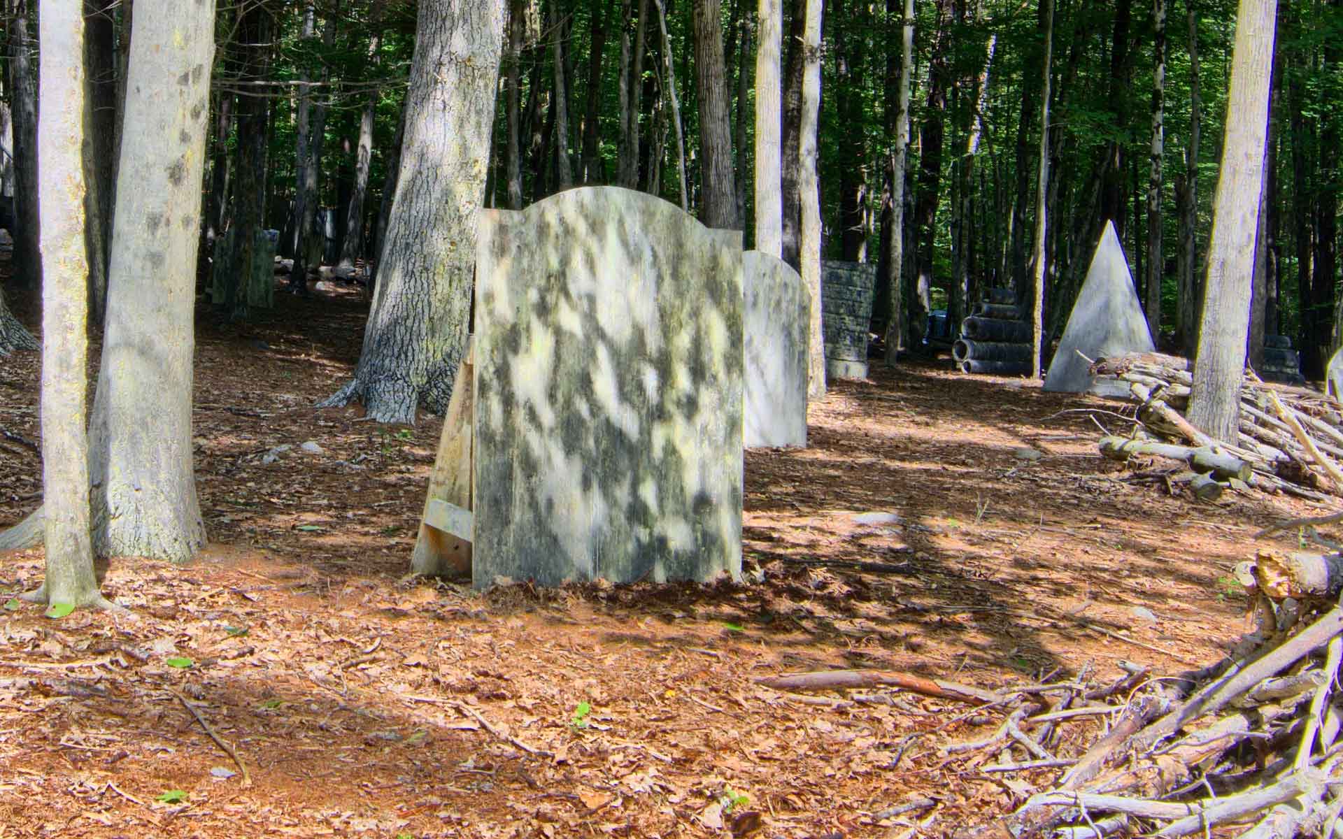 Paintball course in a forest setting, featuring camouflage bunkers and trees.