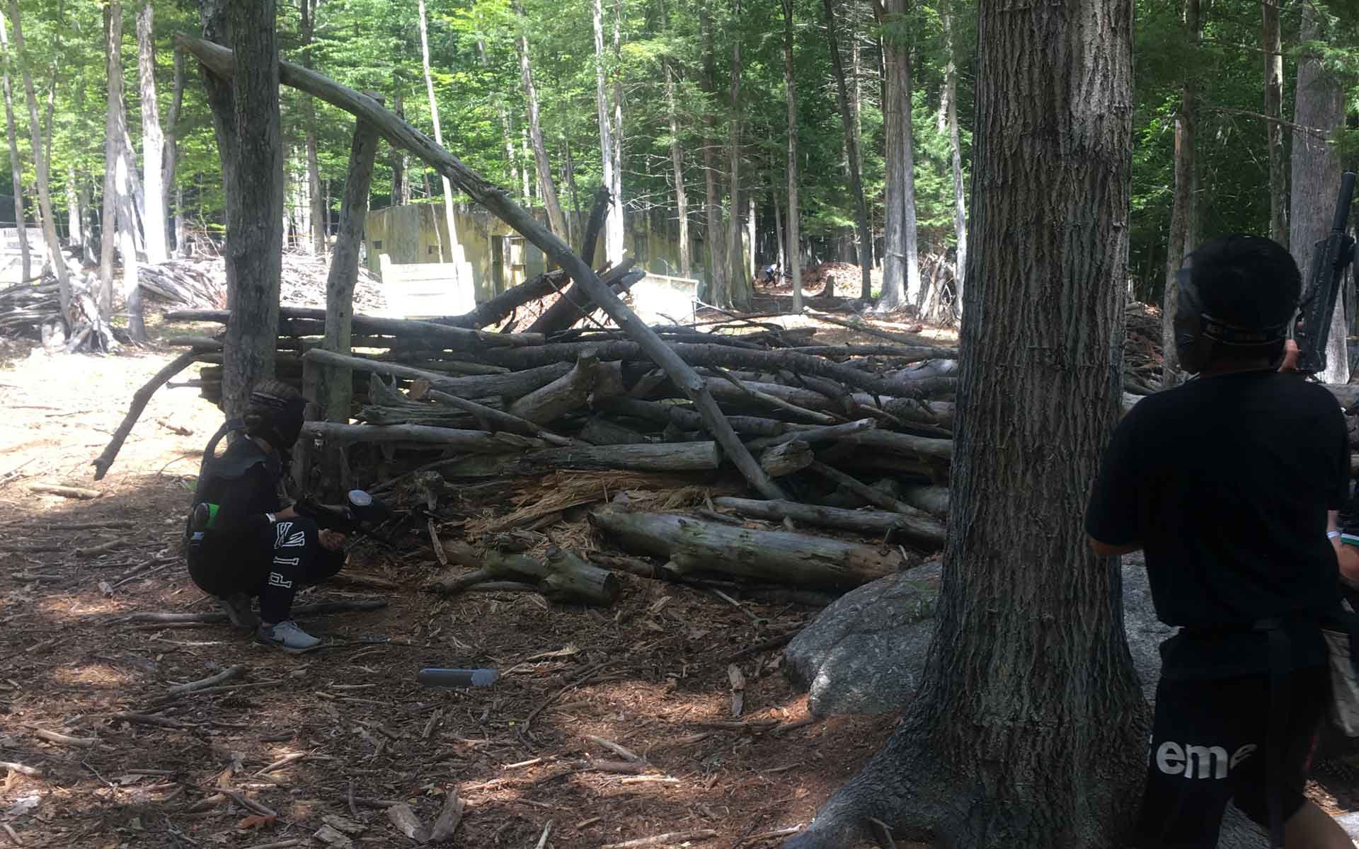 People playing paintball in a wooded area, hiding behind logs and trees.