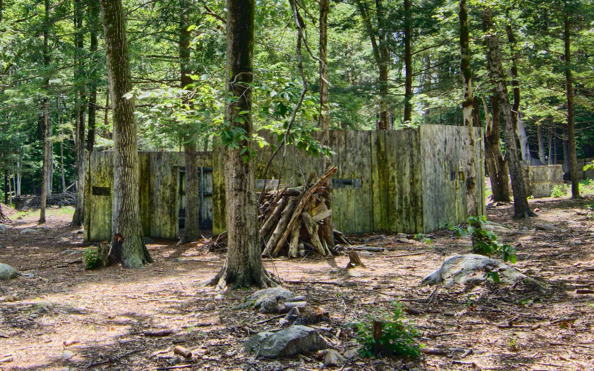 Wooden structure in forest clearing with a woodpile in front.