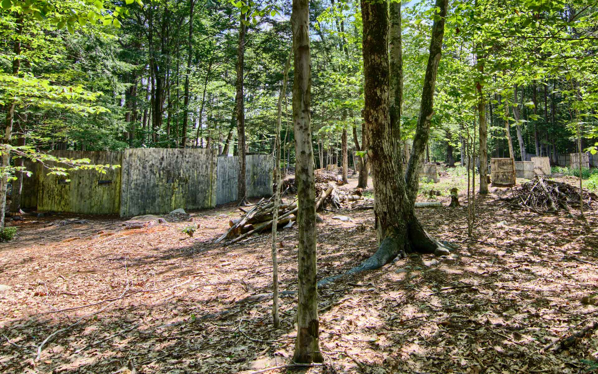 Wooded paintball field with camouflage barriers. Sunlight streams through trees, illuminating fallen leaves.