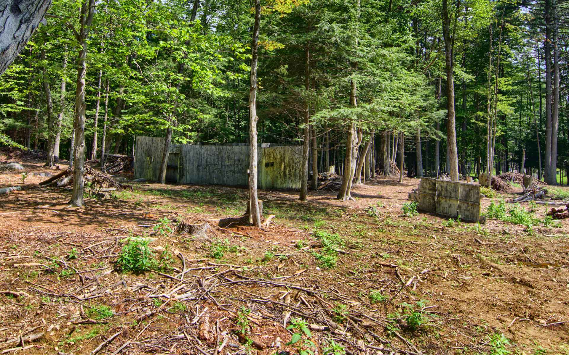 Wooded paintball course with bunkers and trees.