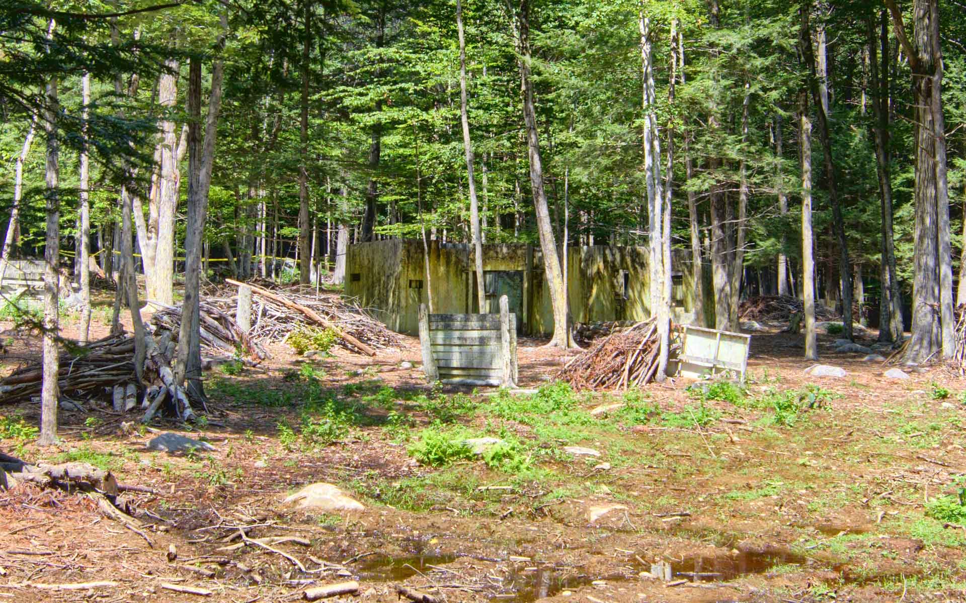 Forest paintball course with a bunker and barrel obstacles.