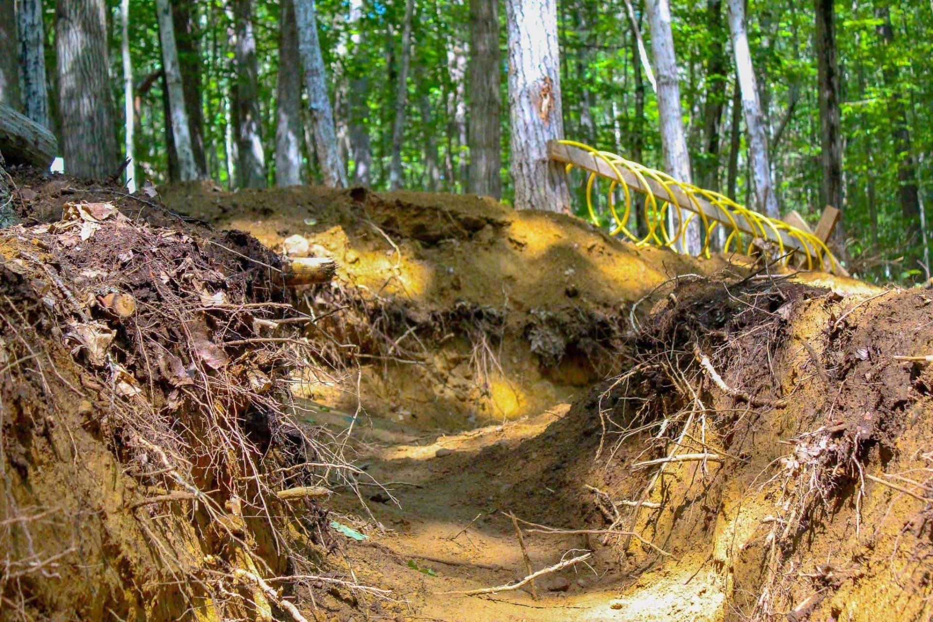 A dirt trail cuts through a forest, leading up and over a small berm.