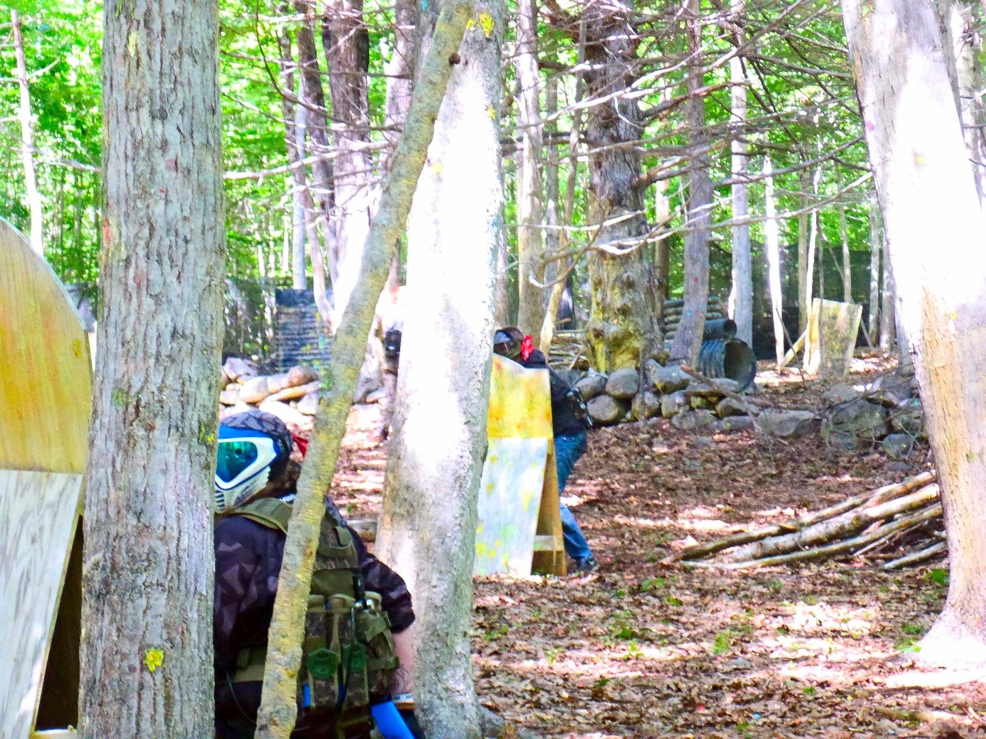 People playing paintball in a wooded area, hiding behind trees and bunkers.