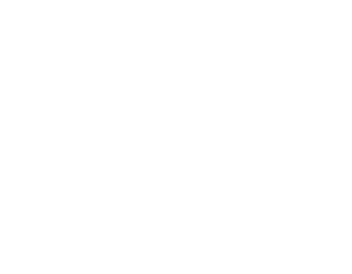 Logo for Max Refinishing featuring 