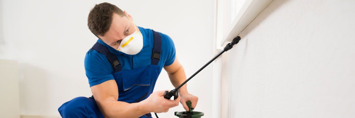 Pest Control Services — Man Exterminating Pest in Tampa, FL