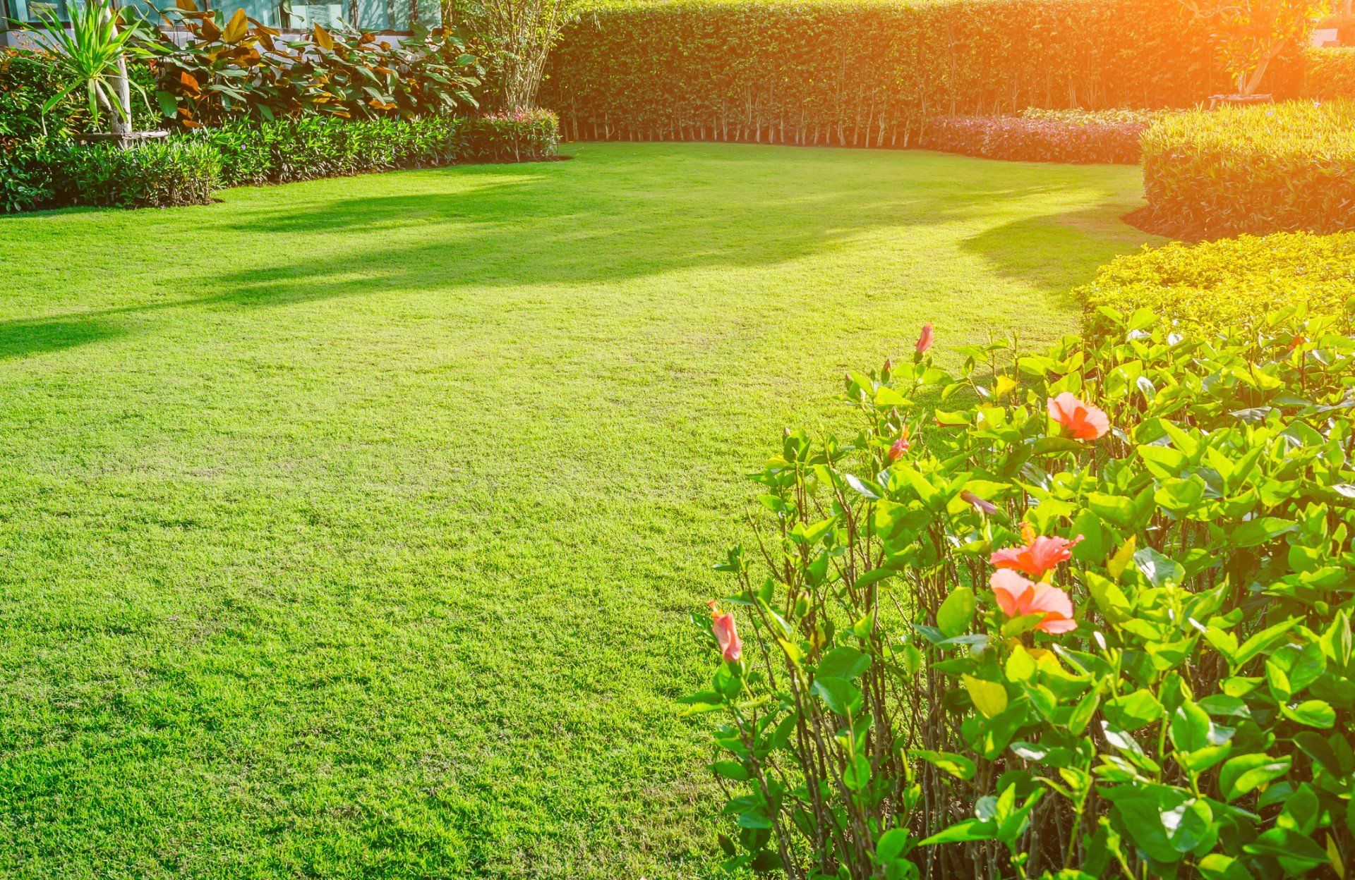 Giardino dopo la manutenzione
