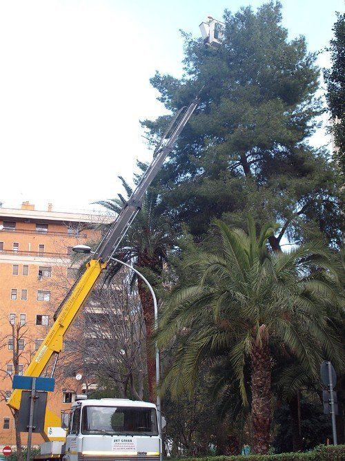 Potatura di alberi con gru
