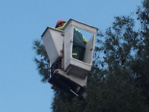 Giardiniere professionista su una gru