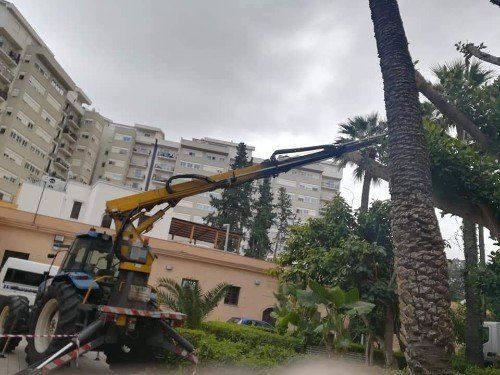 Servizio di giardinaggio da parte di specialisti
