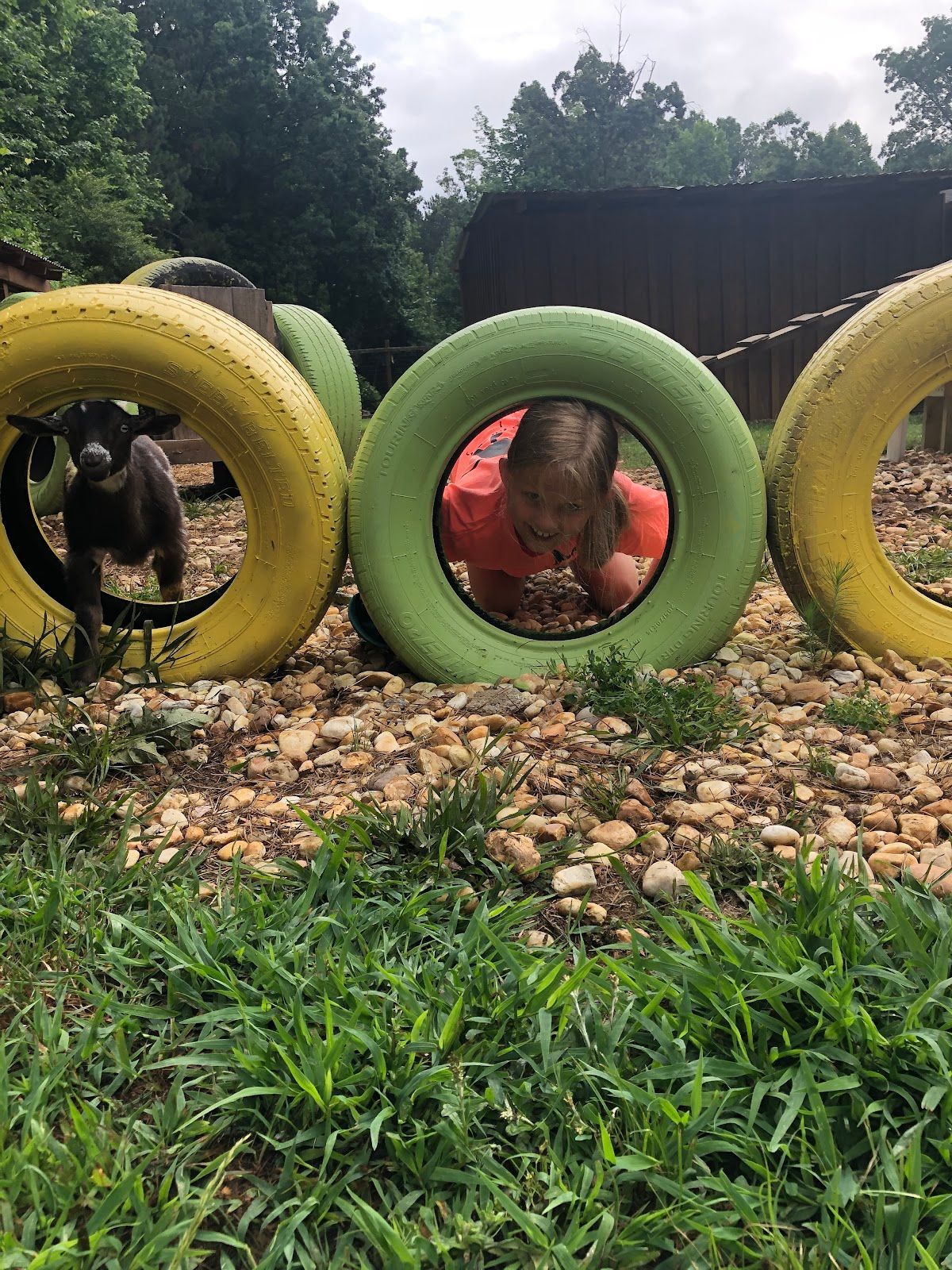 A person is crawling through a hole in a tire.