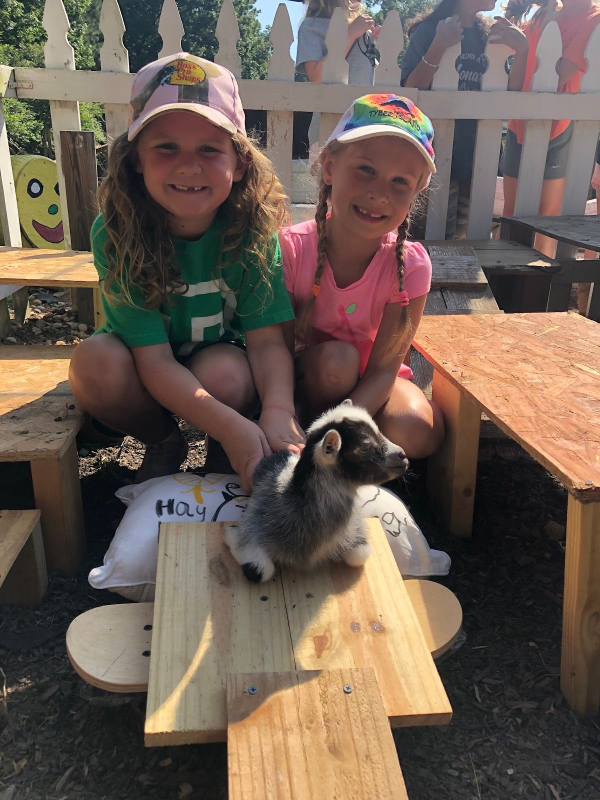 Two little girls are petting a baby goat on a wooden table.