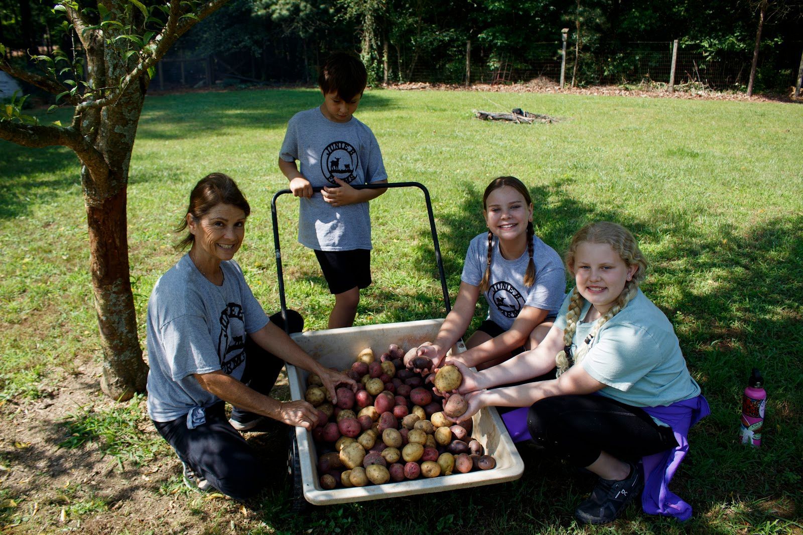 A group of children are gathering apples in a field.