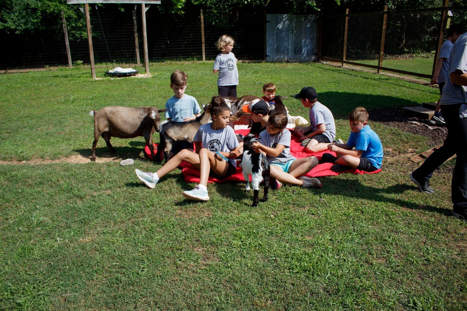 A group of children are sitting in the grass with goats.