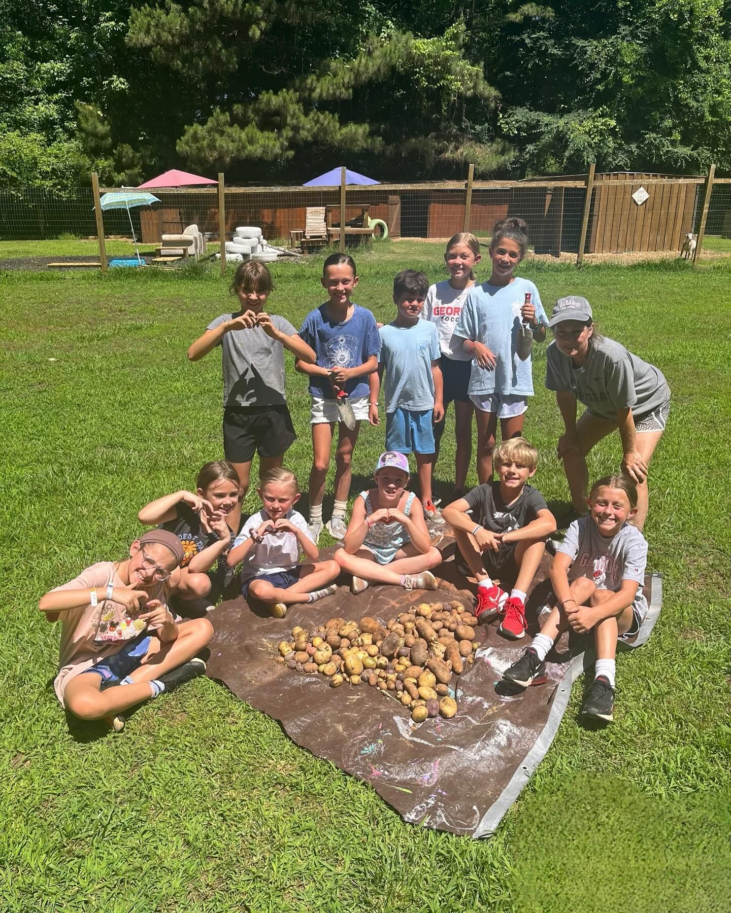 A group of children are sitting on top of a pile of potatoes in a field.