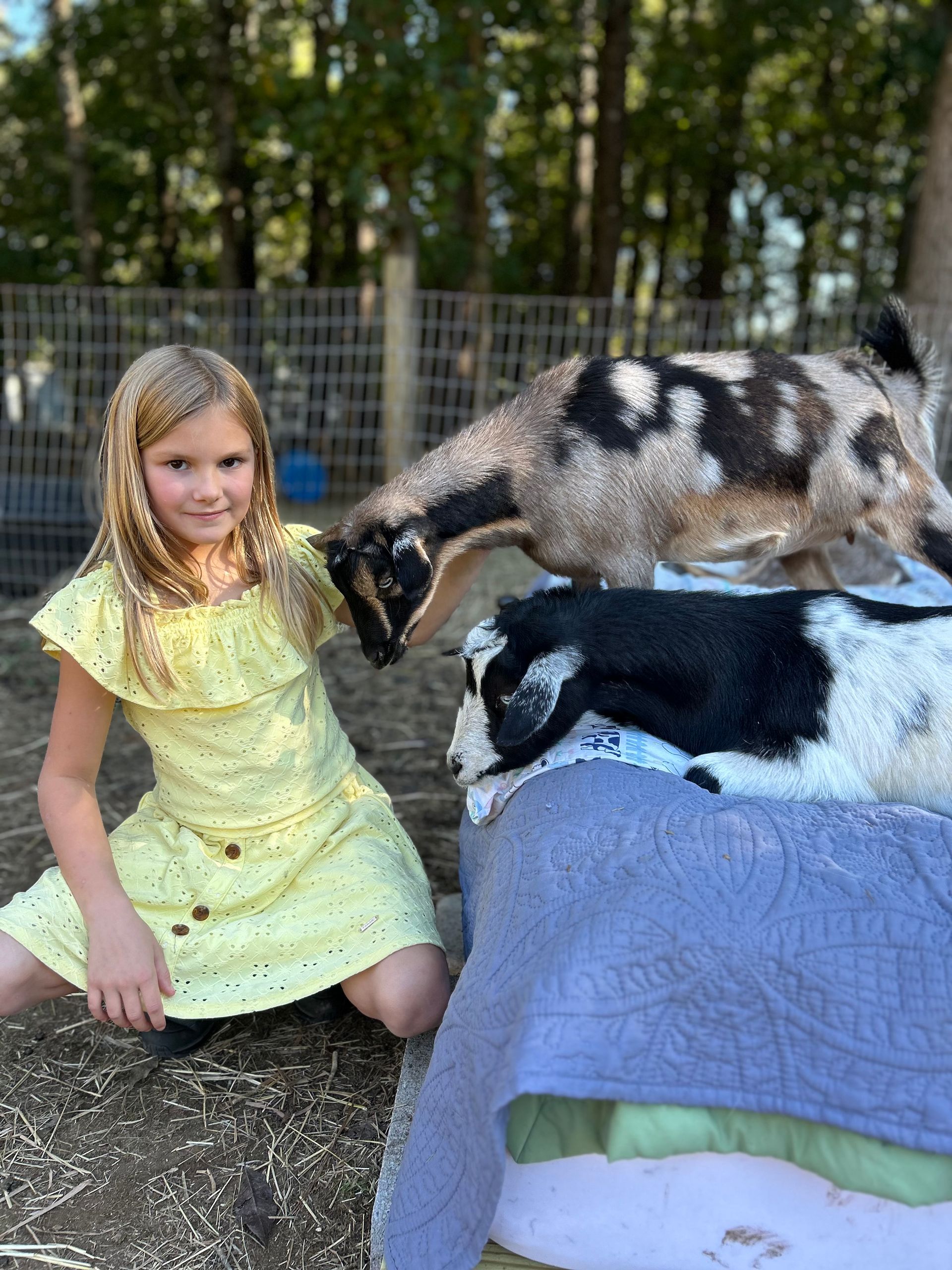 A pot of milk is sitting on a table next to a kettle.