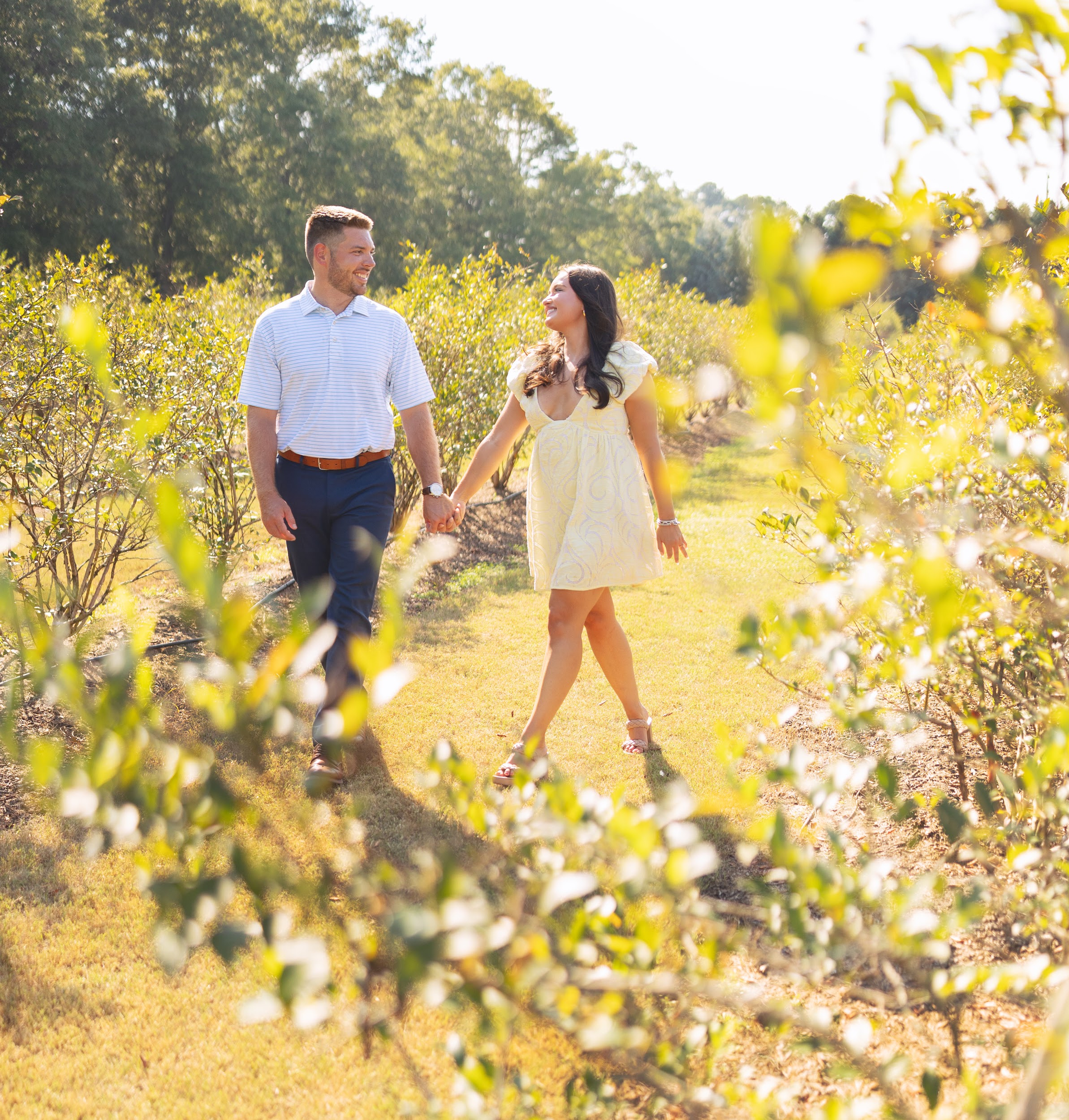 A man and a woman are walking through a field holding hands.