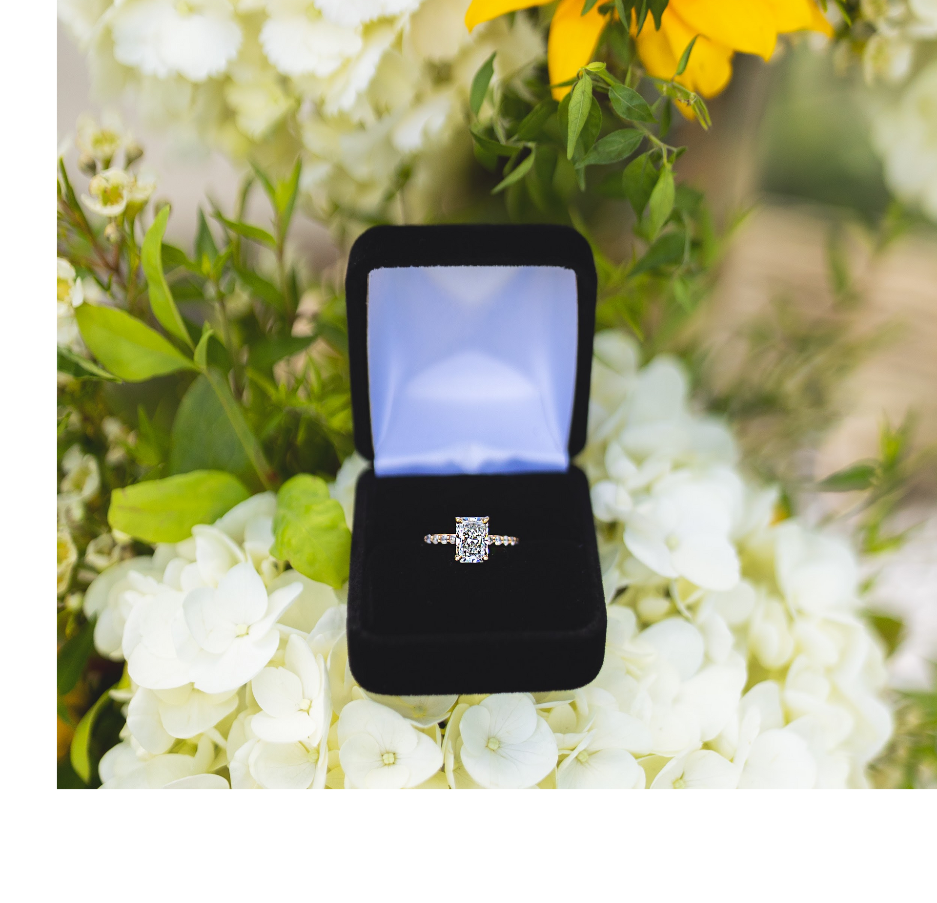 A diamond ring in a black box with flowers in the background