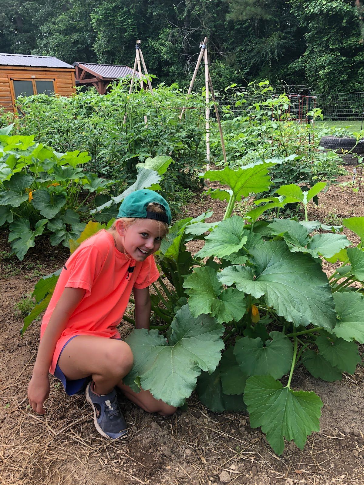 A young girl is kneeling next to a plant in a garden.