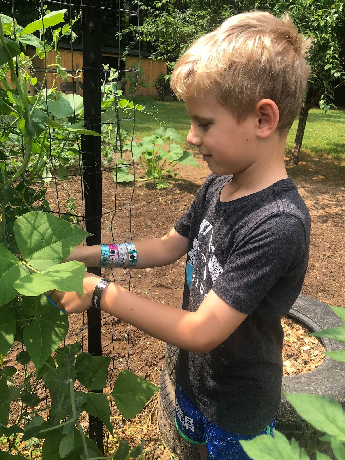 A young boy is picking leaves from a plant in a garden.