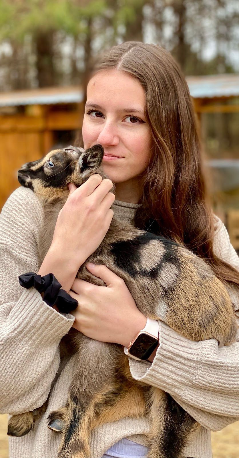 A woman is holding a small dog in her arms.