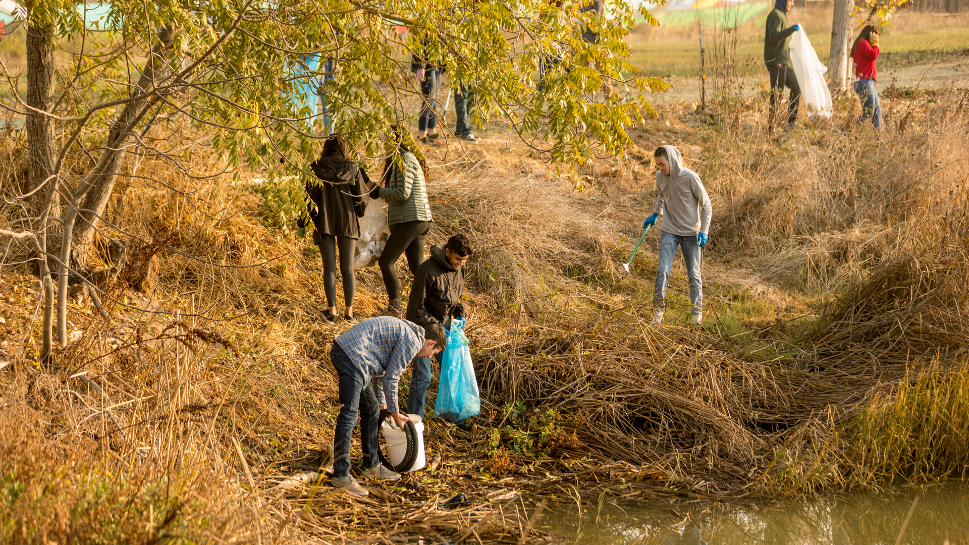 People picking up trash near a stream