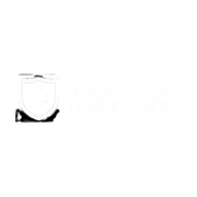 White shield logo with text "True Armor".