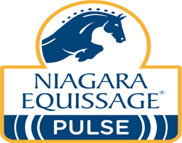 Equissage Logo