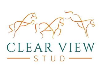 Clear View Stud Logo