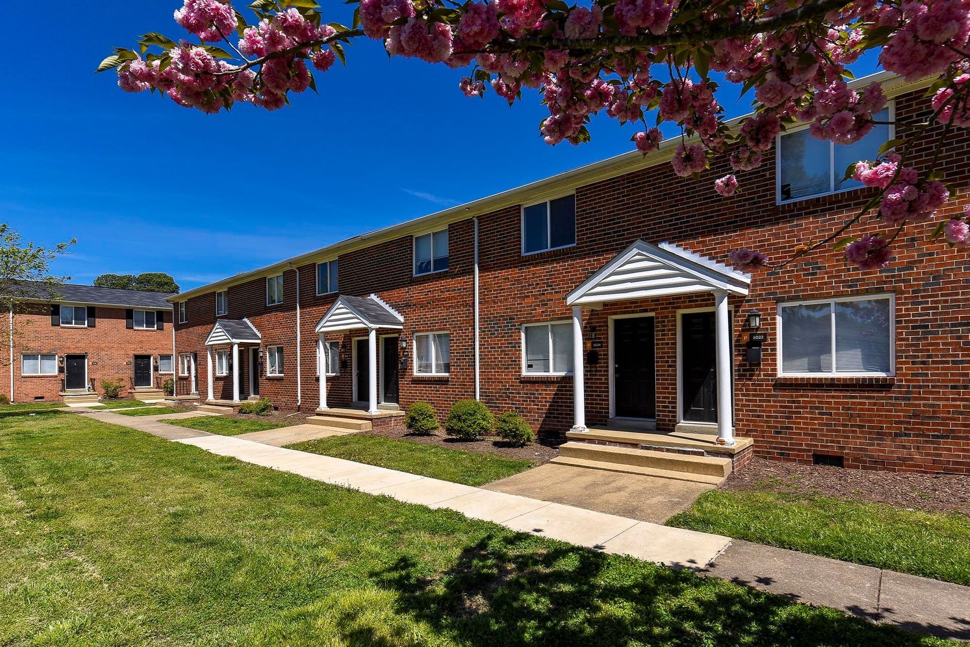 Row of brick townhouses with small covered entrances, lush green lawn, and blooming pink tree.