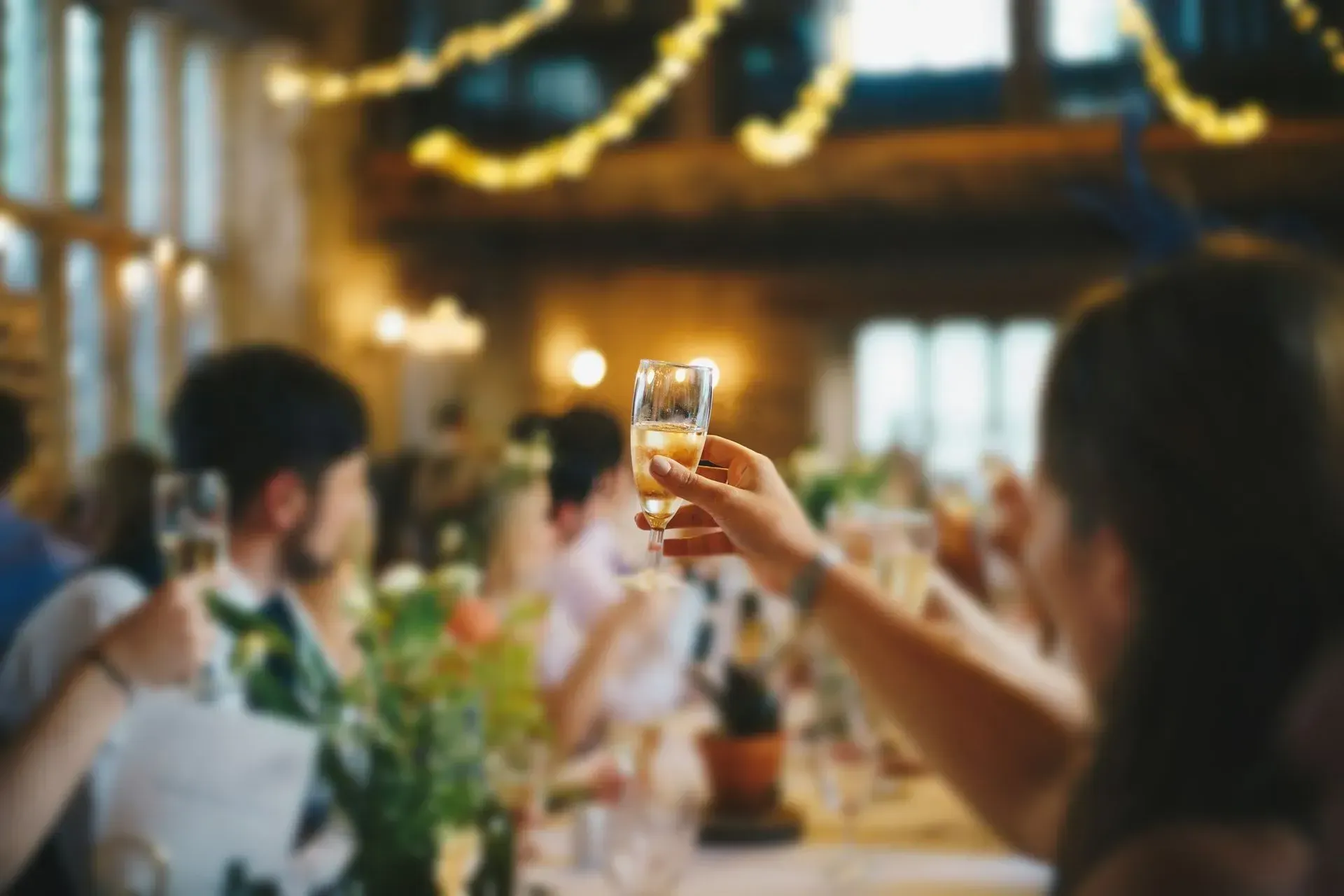 Guests toasting with wine glasses at a warmly lit indoor dinner party