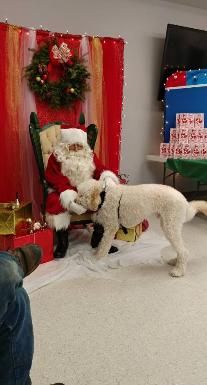 Santa claus is sitting in a chair with a dog.