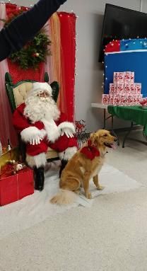 Santa claus is sitting in a chair next to a dog.