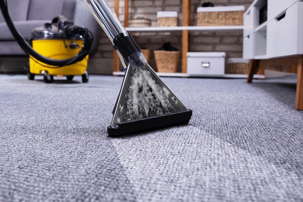 A vacuum cleaner is cleaning a carpet in a living room.