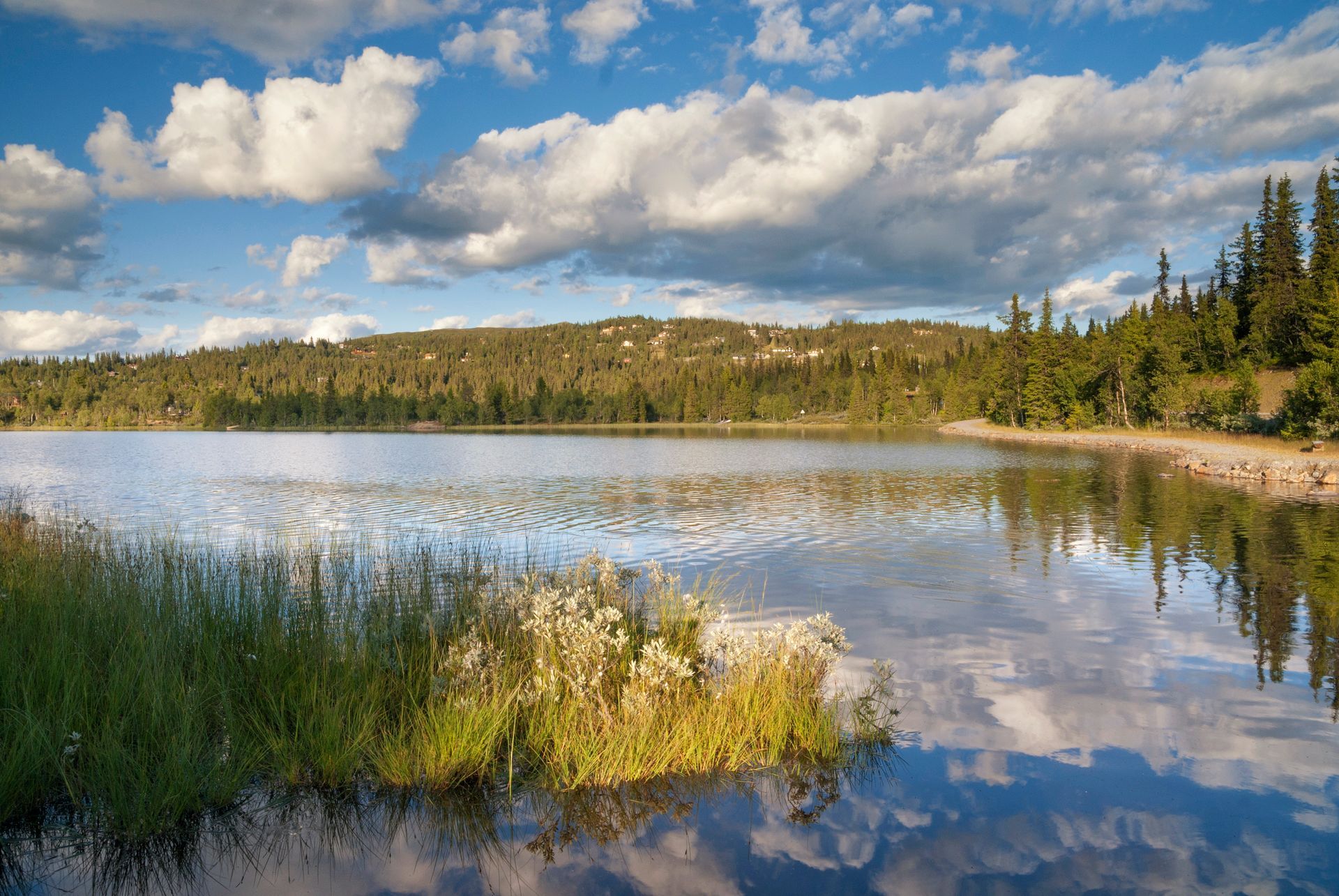 Lake scene with trees and fluffy clouds reflecting in the water.