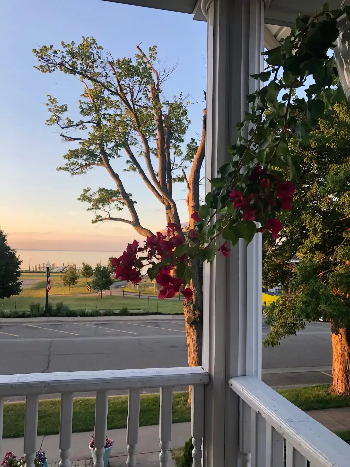 A balcony with flowers and a tree in the foreground.