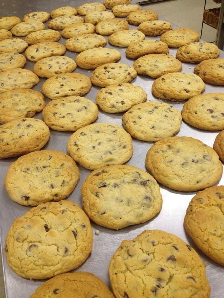 A bunch of chocolate chip cookies are on a tray.