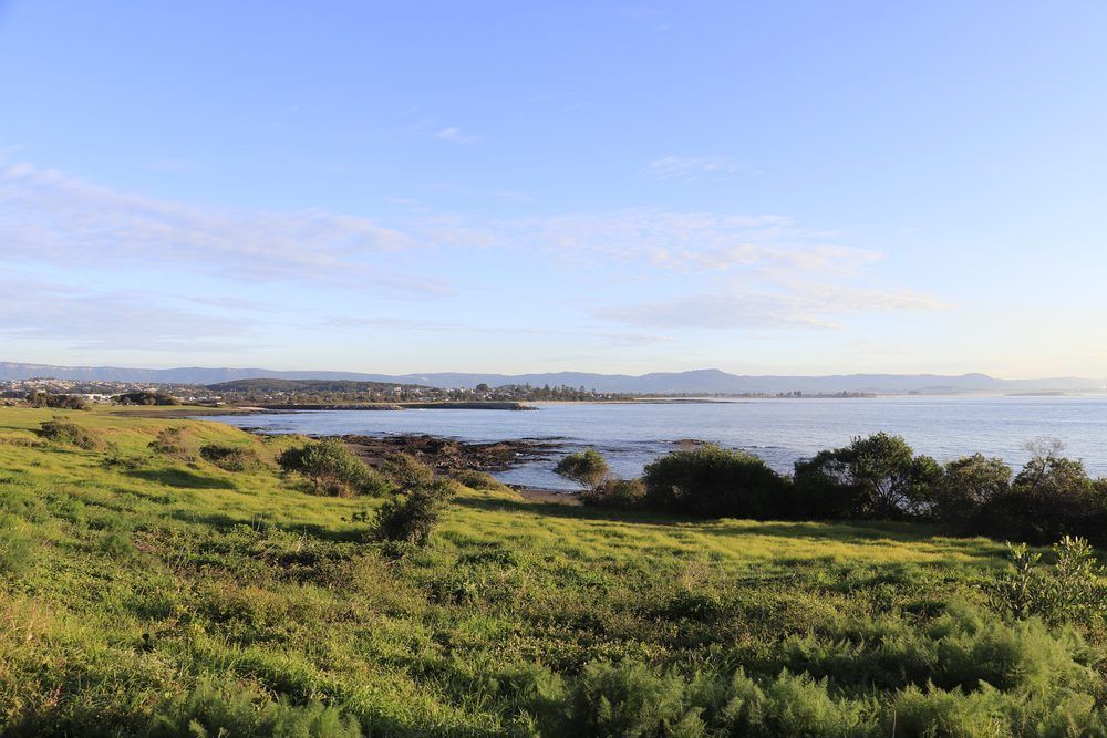 A Lush Green Field With a Body of Water in the Background — Febos Welding and Engineering In Kiama, NSW