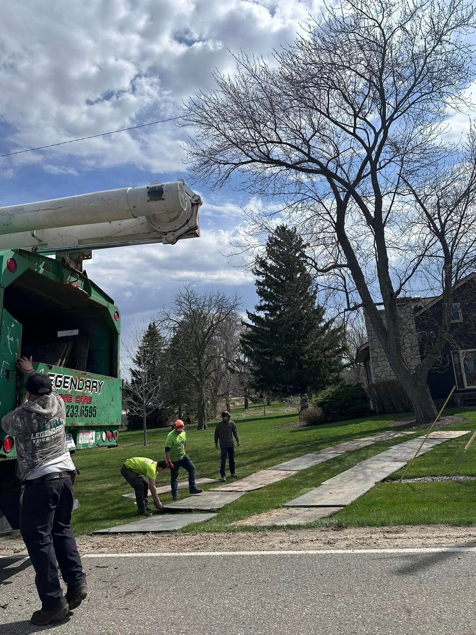 Legendary Tree Care LLC | group of people are working on a tree in a yard.