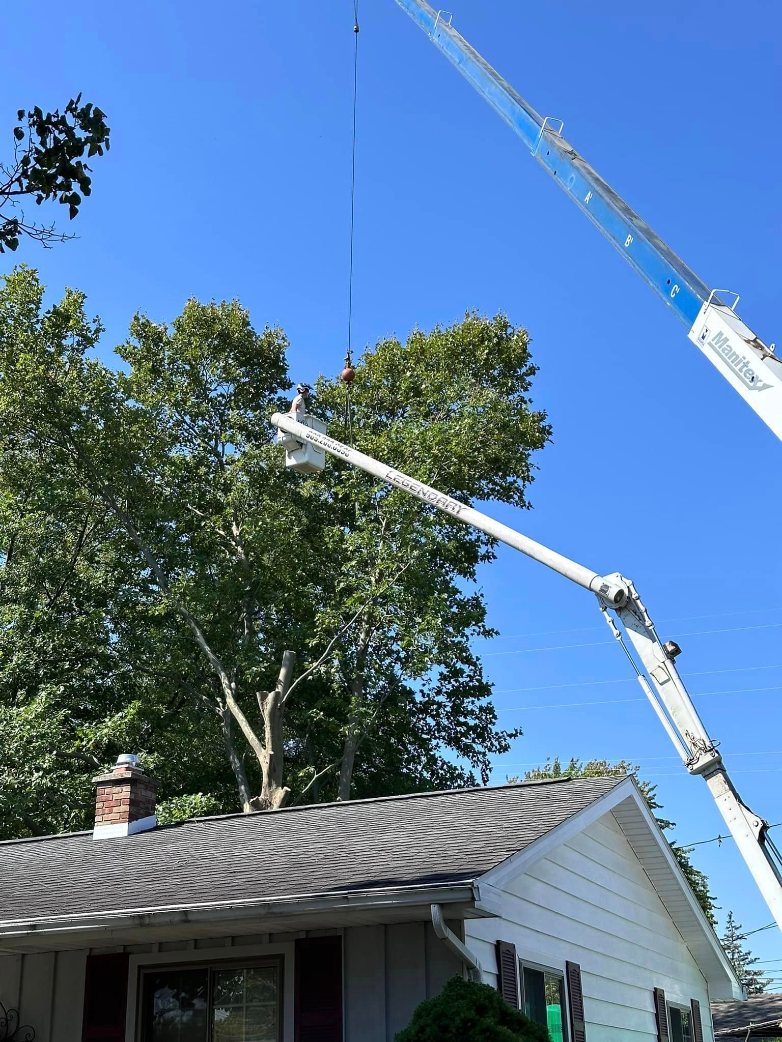 Legendary Tree Care LLC | crane is lifting a tree from the roof of a house.