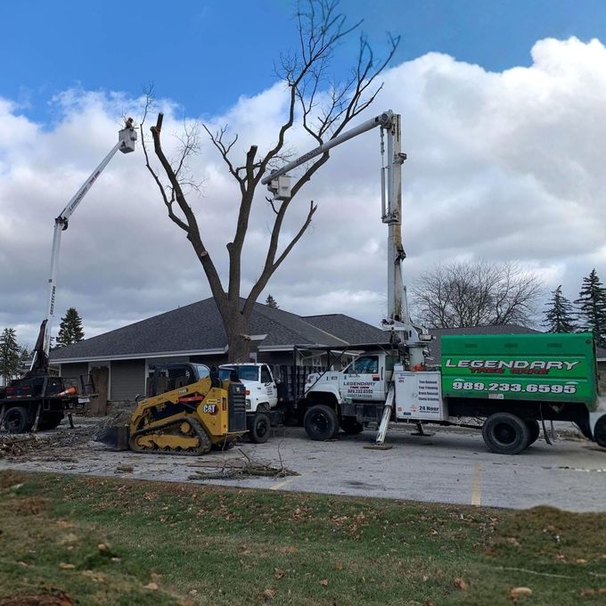 Legendary Tree Care LLC | white and green truck is parked on the side of a dirt road.