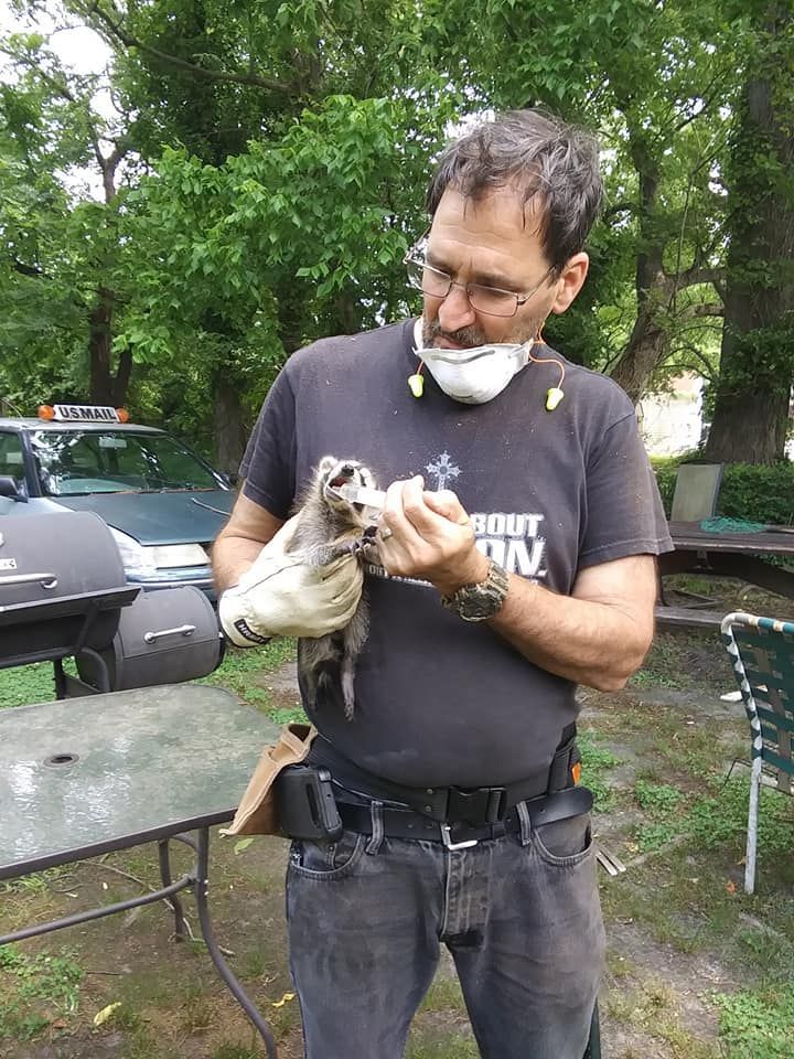 Man Rescue A Racoon — Greensboro, NC — The Critter Gitter LLC
