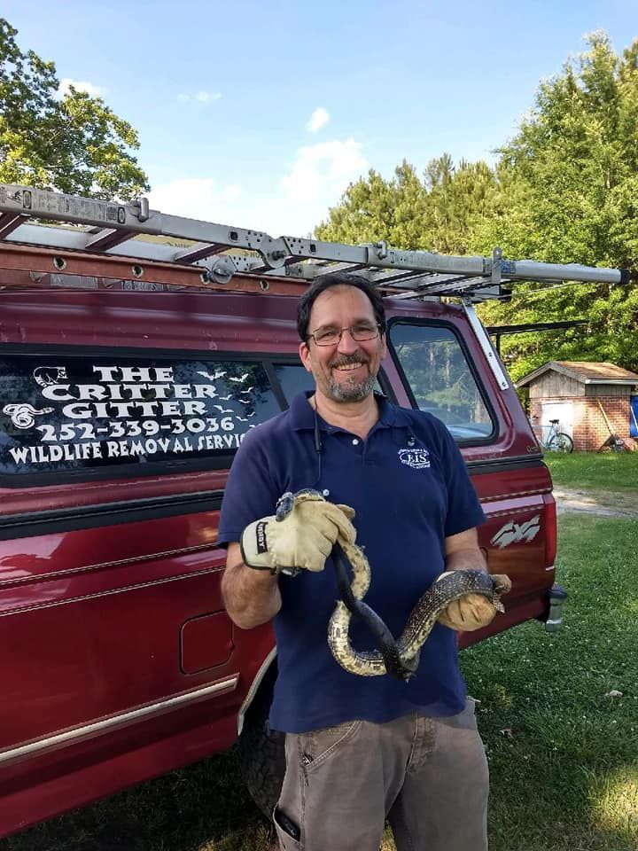 Man Hold A Snake — Greensboro, NC — The Critter Gitter LLC