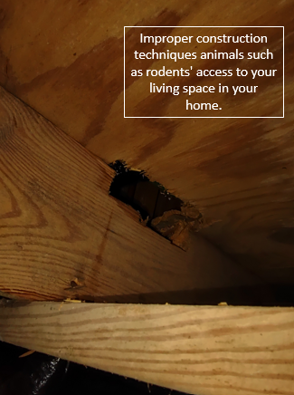 Hole Cause By Rodents — Greensboro, NC — The Critter Gitter LLC