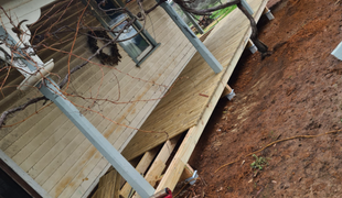 Wooden porch with weathered siding, supports and vines, outdoors.