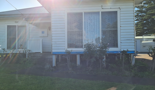 White house with blue trim, windows, and overgrown shrubs. Sunlight flares from the upper left.
