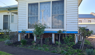White house with a blue trim, raised on wooden posts, with a garden in front.